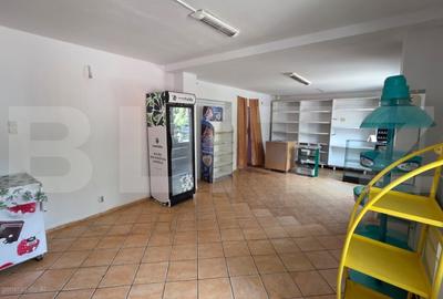Casa 80 mp utili, cu teren de 350 m - zona Sens, potential investitional urias - 4