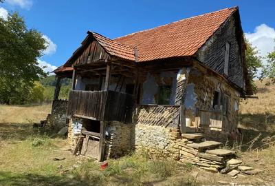 Vand Casa Tradi?ionala cu ?ura - 1