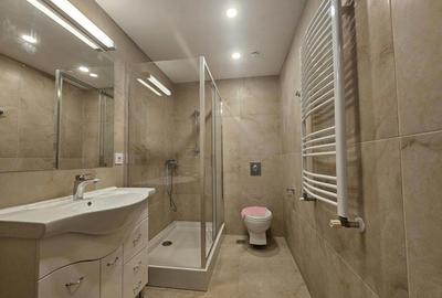 Aviatorilor- Guvern - 11