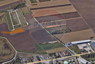 Teren Construcții intravilan de 11485 mp, în Nicolae Bălcescu - 2