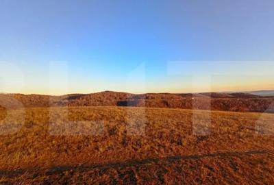 Teren de 8600 mp, în Sălicea