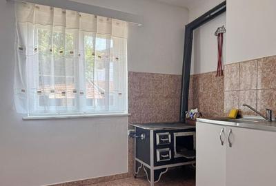 CASA CU POTENTIAL IN CARTIERUL FLORILOR - 6