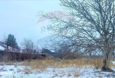 Spațiu comercial, în Letea Veche