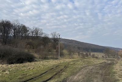 Teren de 600 mp, în Corunca - 2