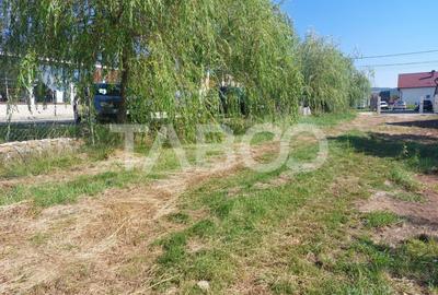 Teren intravilan 812 mp PUZ aprobat utilitati pe teren Talmaciu - 1