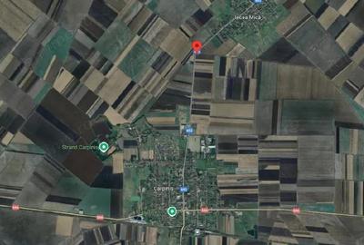 Cota de 5/24 din teren extravilan Carpinis, judetul Timis; - 2