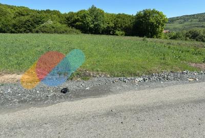 Teren Construcții extravilan de 2900 mp, în Popești - 3