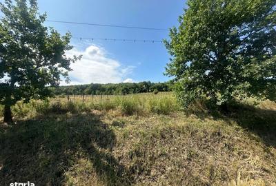 Spațiu comercial, în Sânmartin - 4