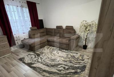 Garsonieră decomandată în Lunca Cetățuii - 15