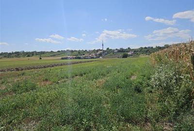 Teren agricol extravilan de 3300 mp, în 9 Mai - 1