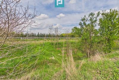 Teren agricol extravilan de 6150 mp, în Giroc - 2