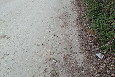 Spațiu comercial, de 500 mp, în Ștefănești - 1