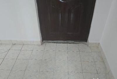 Apartament cu 3 camere semidecomandat în Scărișoara - 8