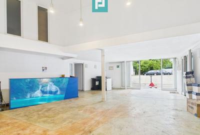 Spațiu comercial, de 480 mp, în Elisabetin
