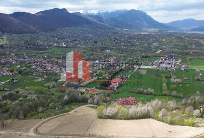 Teren Construcții intravilan de 1000 mp, în Bran - 6