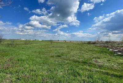 Teren intravilan 10013mp Pielesti DN65 - 1