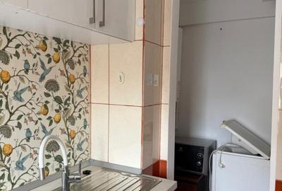 Garsoniera ?incai - Tineretului - 3