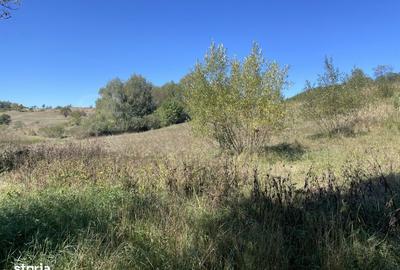 Spațiu comercial, în Cornățel - 3