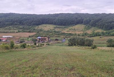 Teren de 1500 mp, în Corunca - 3