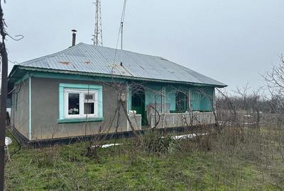 Casă cu Teren 2400 Mp în Toporu