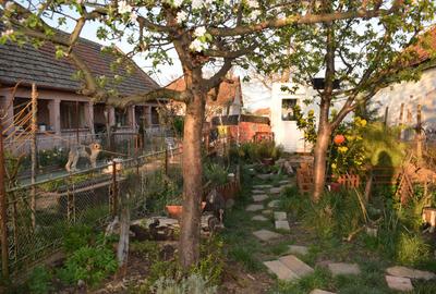 Casă individuală cu 5 camere cu Teren 1000 Mp în Ianova - 4