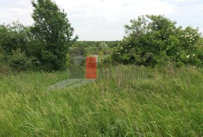 Teren Buftea cu iesire la lac Teren Buftea cu iesire la lac - 24