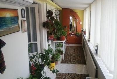 De vanzare casa la sol  ,zona Marvimex - 2