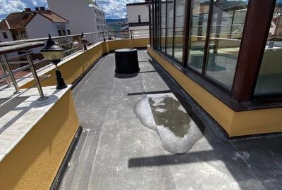 Inchiriere spatiu comercial, restaurant - 3500 EUR - 5