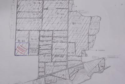 Teren de 10000 mp, în Ograda - 1