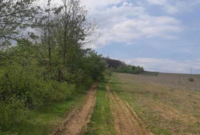 Teren în Aghireș - 1
