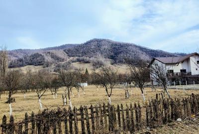 Vand Parcela Intravilan - 2