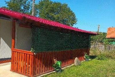 Casă cu 3 camere cu Teren 2697 Mp în Teș - 7