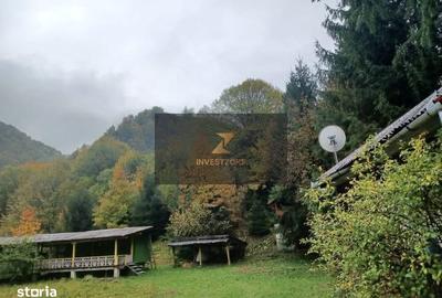 Spațiu comercial, în Lorău - 10