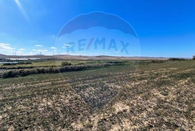 Teren agricol extravilan de 10000 mp, în Mihail Kogălniceanu - 5