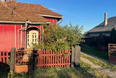 Casă cu 2 camere cu Teren 2751 Mp în Lucăcești - 14