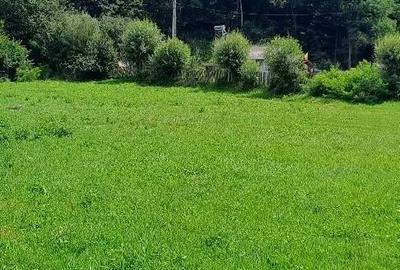 Teren de 1154 mp, în Bughea de Jos - 6