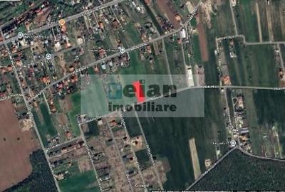 Snagov Ghermanesti - Teren 1637 Mp, Deschidere 19 M, Toate Utilitatile - 8
