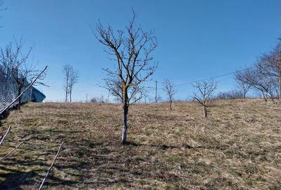 Spațiu comercial, în Aiton - 2