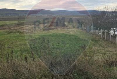 Teren intravilan si extravilan 8,282mp oras Negresti, judetul Vaslui - 3