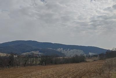 Teren Construcții extravilan de 2282 mp, în Fâșca - 4