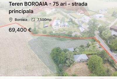 Teren BOROAIA - 75 ari - strada principala - 1