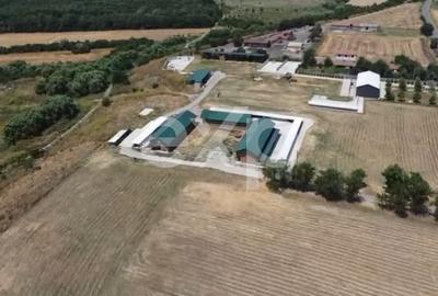 Teren Construcții intravilan de 105000 mp, în Crânguri - 2