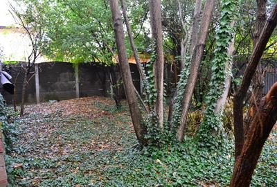 Casa individuala, zona Iosefin - 3