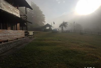 Teren de 5500 mp, în Cerna-Sat - 6