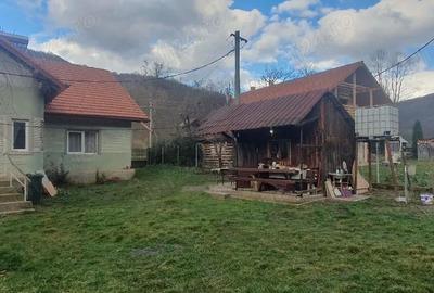 Casă cu Teren 3000 Mp în Dăbâca - 6