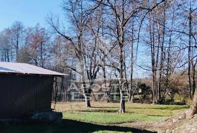 Casă cu Teren 2000 Mp în Laz - 4