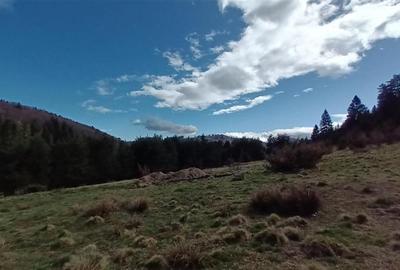 Teren intravilan intr-o zona mirifica, cu apa curgatoare, Zarnesti - 6