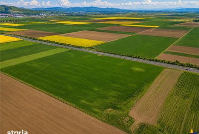 Teren de 47.58 mp, în Central - 6
