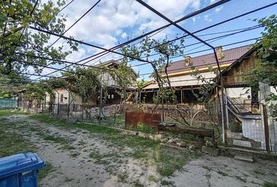 Casă cu 6 camere cu Teren 5019 Mp în Hurezani - 6