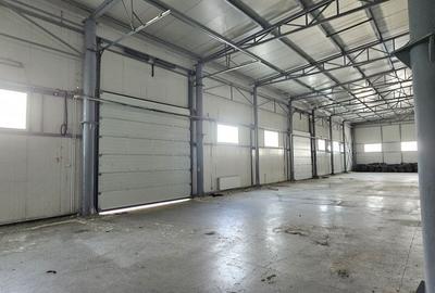 Pantelimon DN3 hala 870 mp Pantelimon DN3 hala 870 mp - 3